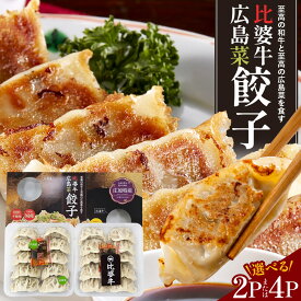 【ふるさと納税】 庄原特産 比婆牛餃子 広島菜餃子 合計2パック or 合計4パック | 餃子食べ比べ ぎょうざ ギョウザ セット 食べ比べ 肉餃子 野菜ぎょうざ 国産ぎょうざ 冷凍餃子 黒毛和牛 ブランド牛 惣菜 おかず 20個 40個【内容量が選べる】 ご当地餃子
