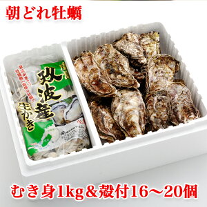 yӂ邳Ɣ[ŁzỈyA~XC ނgkt y BZbgbǂ Hp  JL 嗱 y   JL KL kt ނg g ނ kނsv ֗ lC 