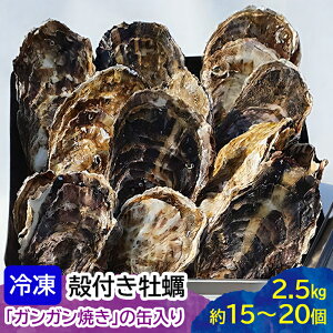 yӂ邳Ɣ[ŁzĨKKĂ (Ⓚkt) 2.5kg (1520)by kty C̍K L [2221]