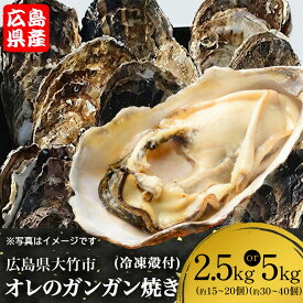 【ふるさと納税】オレのガンガン焼き 広島県大竹市産 冷凍殻付牡蠣 2.5kg／5kg｜かき 大粒 貝 シーフード オイスター 海鮮 魚介類 濃厚 海の幸 貝類 BBQ バーベキュー カンカン焼き おおたけカキ 特大サイズ 広島 大竹市 玖波 宮島 瀬戸 国産 産地直送 [2619-2621]