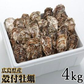【ふるさと納税】オレの牡蠣アミスイ 殻付牡蠣 4kg｜朝どれ 生食用 殻付き かき カキ 大粒 生牡蠣 生かき 生がき 生カキ 生ガキ 貝 シーフード オイスター 海産物 海鮮 魚介類 海の幸 海のミルク 濃厚 BBQ バーベキュー カンカン焼き ガンガン焼き かんかん焼き [1807]