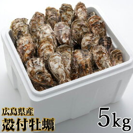 【ふるさと納税】オレの牡蠣アミスイ 殻付牡蠣 5kg｜朝どれ 生食用 殻付き かき カキ 大粒 生牡蠣 生かき 生がき 生カキ 生ガキ 貝 シーフード オイスター 海産物 海鮮 魚介類 海の幸 海のミルク 濃厚 BBQ バーベキュー カンカン焼き ガンガン焼き かんかん焼き [1808]