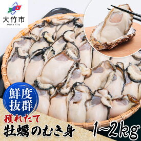 【ふるさと納税】[2027年1月8日より発送！]オレの牡蠣 広島県大竹市産 生牡蠣 むき身 1kg／1.5kg／2kg｜朝どれ 生食用 かき 大粒 剥き身 むきかき 殻むき不要 便利 人気 おすすめ 貝 シーフード オイスター 海鮮 魚介類 濃厚 おおたけカキ [1743-1744][1881p-1881]
