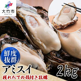 【ふるさと納税】[2027年1月8日より発送！]オレの牡蠣 広島県大竹市産 殻付牡蠣 2kgから10kg 大容量 朝どれ｜朝どれ 生食用 かき 大粒 貝 シーフード オイスター 海鮮 魚介類 海の幸 貝類 濃厚 BBQ バーベキュー ガンガン焼き おおたけ [1805-1808][1747]