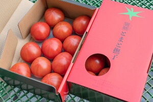 【ふるさと納税】【予約商品】アグライズ 別嬪とまと撫子 約2kg(約1kg箱×2)【配送時期:2月〜3月】