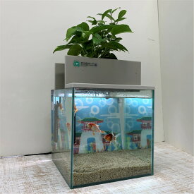 【ふるさと納税】水槽セット　25cm せせらぎビオトープ　アクアリウム　照明　熱帯魚　植物