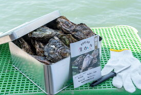【ふるさと納税】カンカン焼きセット 広島 殻付き牡蠣 約20個 マルミ水産【配送不可：離島】