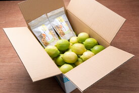 【ふるさと納税】ワックス・防腐剤不使用の皮ごと使えるレモン4kgとかりんとう2袋セット【配送時期：9月上旬〜3月下旬】