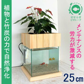 【ふるさと納税】水槽セット　25cm せせらぎビオトープ　アクアリウム　木枠台　金魚　植物