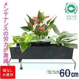 【ふるさと納税】せせらぎビオトープ　60cm型ろ過装置・縁なし水槽用（※水槽はついていません）