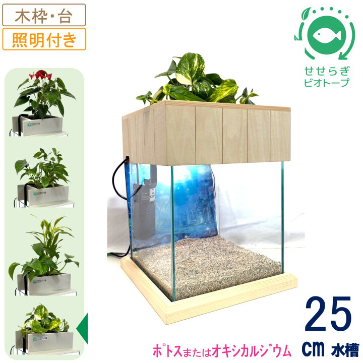 楽天市場】【ふるさと納税】せせらぎビオトープ 25cm型照明+木枠台 