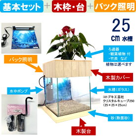 【ふるさと納税】せせらぎビオトープ　25cm型照明+木枠台セット