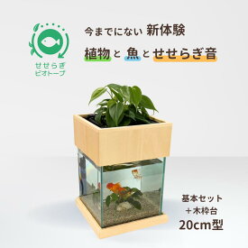 【ふるさと納税】せせらぎビオトープ　20cm型基本+木枠台セット