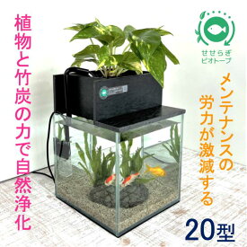 【ふるさと納税】水槽セット　ろ過　水替え不要　植物　20cm型基本セット黒色