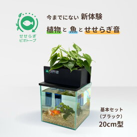 【ふるさと納税】せせらぎビオトープ　20cm型基本セット