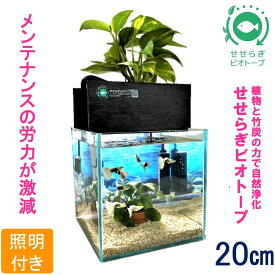 【ふるさと納税】水槽セット　せせらぎビオトープ　20cm型照明　植物　魚　(黒・グレー）
