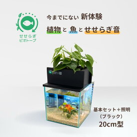 【ふるさと納税】せせらぎビオトープ　20cm型基本＋照明セット