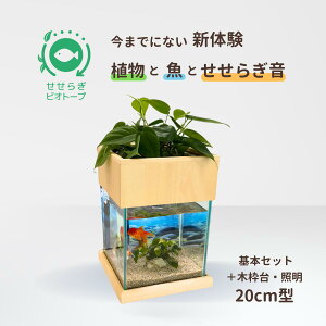 yӂ邳Ɣ[Łz炬rIg[v@20cm^{Ɩ{ؘgZbg