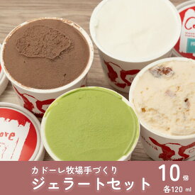 【ふるさと納税】カドーレ牧場手づくりジェラートセット