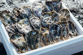 【ふるさと納税】【予約商品】牡蠣　広島　殻付き牡蠣（26個～30個）　矢野水産【配送不可：離島】【配送時期：2025年1月上旬〜2025年4月上旬】