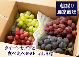 【ふるさと納税】【2026年発送分先行予約】クイーンセブンと食べ比べセット（約1.8kg）　8月中旬発送　広島　農家直送・新鮮朝採り　【配送不可：離島】【※お届け日指定不可】