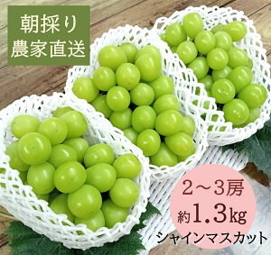 yӂ邳Ɣ[Łzy2026Ns\zVC}XJbg@2`3[i1.3kgj@9{@L@_ƒEVN̂@yzsFzy͂wsz