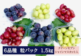 【ふるさと納税】【2026年発送分先行予約】6品種の粒パックセット 1.5kg　クイーンセブン・シャインマスカット入り　250gパック×6個　8月下旬発送　【配送不可：離島】【※お届け日指定不可】