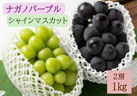 【ふるさと納税】【2026年発送分先行予約】ナガノパープル・シャインマスカット　2房セット（約1kg）　8月下旬発送　広島　農家直送・新鮮朝採り