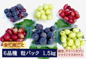 【ふるさと納税】【2026年発送分先行予約】全部皮ごと・農家自慢の6品種パック 1.5kg　ナガノパープル・クイーンセブン・雄宝入り　250gパック×6個　8月下旬発送