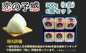 yӂ邳Ɣ[ŁzL[u^  ̗\2(300g)×6Zbg Mtg  ^pbN