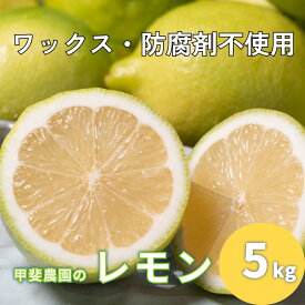 【ふるさと納税】ワックス・防腐剤不使用の皮ごと使えるレモン5kg【配送時期：9月上旬〜4月下旬】