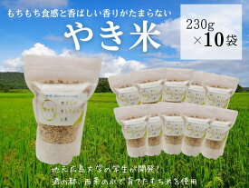 【ふるさと納税】やき米　230g×10袋
