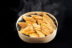 【ふるさと納税】冷凍 煮あなごのわっぱめし 特上(340g)