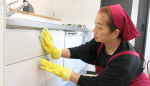 yӂ邳Ɣ[ŁzN[jOZbgiLb`EEWt[hEgCji{HΏۂ͓Lŝ݁j