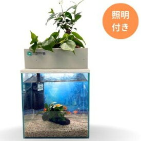 【ふるさと納税】せせらぎビオトープ　25cm型基本+照明セット