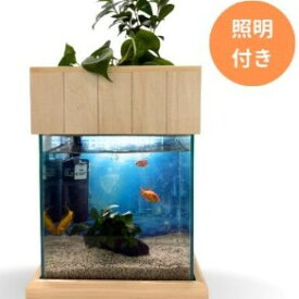 【ふるさと納税】せせらぎビオトープ　25cm型照明+木枠台セット