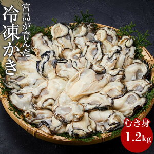 yӂ邳Ɣ[ŁzyMpz{񂾗Ⓚiނgj1.2kg