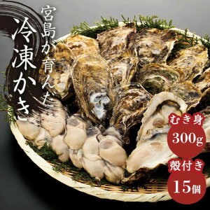 yӂ邳Ɣ[ŁzyMpz{񂾗ⓀiZbgjނg300g{kt15