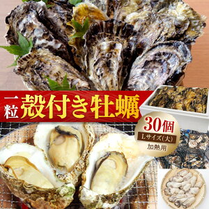 yӂ邳Ɣ[ŁzkCEzsmktynLTCY()30sMpt | L Ly  VN {  lC L { ss