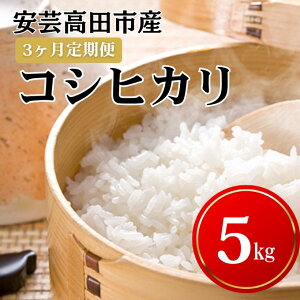 �y�ӂ邳�Ɣ[�Łz�� �y3�������͂��z�ߘa7�N�Y�@���|���c�s�Y�R�V�q�J��5kg ���ā^�R�V�q�J�� ���� �����Ђ��� ����� �@���͂��F25�N11�����{�`26�N8�����{�܂�