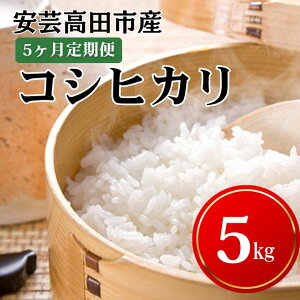 �y�ӂ邳�Ɣ[�Łz�� �y5�������͂��z�ߘa7�N�Y�@���|���c�s�Y�R�V�q�J��5kg ���ā^�R�V�q�J�� ���� �����Ђ��� ����� �@���͂��F25�N11�����{�`26�N8�����{�܂�