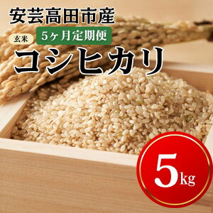 yӂ邳Ɣ[Łz y5͂zߘa7NY@|csYRVqJwāx5kg   @͂F25N11{`26N8{܂