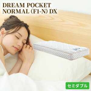 yӂ邳Ɣ[Łz}bgX Q A[t h[xbh DREAM POCKET NORMALiF1-NjDX Z~_u yzBsFkCEEz
