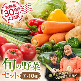 【ふるさと納税】安芸高田市の小さな農家がお届けするふるさと旬野菜セット 野菜類 詰合せ やさい
