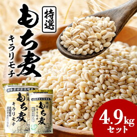 【ふるさと納税】もち麦 国産 キラリモチ 特選もち麦 4.9kgセット 広島県安芸高田産 お米 安心 安全 炊飯 変色 食物繊維 大粒 栄養価 ぷりぷり 大麦