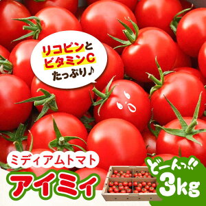 yӂ邳Ɣ[Łz g}g Ƃ܂ _͔| ~fBAg}g 3kg y11{痂N6܂ŏz lC e N Mtg LY ]cs/LЃO[t@[
