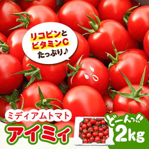 yӂ邳Ɣ[Łz g}g Ƃ܂ _͔| ~fBAg}g 2kg y11{`N6܂ŏz  lC e N Mtg LY ]cs/LЃO[t@[ [