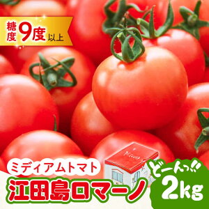 yӂ邳Ɣ[Łz g}g Ƃ܂ _͔| ]c}[m g}g 2kg y11{`N6܂ŏz  lC e N Mtg LY ]cs/LЃO[t@[