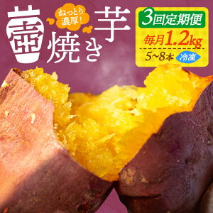 yӂ邳Ɣ[ŁzyS3ցz܂  wĂĂx̚Ă 1.2kg ܂ lC َq XC[c  aَq Mtg v[g ]cs/􏤎 [XAD048] 