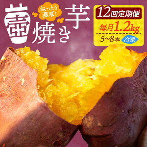 yӂ邳Ɣ[ŁzyS12ցz܂  wĂĂx̚Ă 1.2kg ܂ lC َq XC[c  aَq Mtg v[g ]cs/􏤎 [XAD050] 
